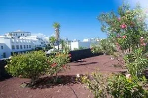 Villas De La Marina Playa Blanca  Spain